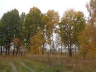 Природа, фото Андрія Сніжка