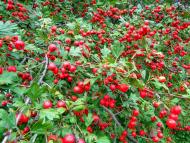 Очима туриста, фото Андрія Сніжка