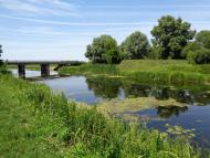 Природа, фото Андрія Сніжка