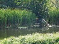 Природа, фото Андрія Сніжка