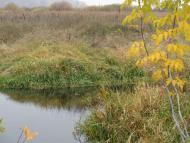 Природа, фото Андрія Сніжка