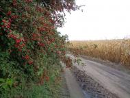 Очима туриста, фото Андрія Сніжка