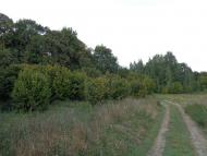 Очима туриста, фото Андрія Сніжка