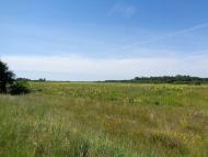 Свято-Георгіївский монастирь