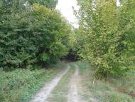 Очима туриста, фото Андрія Сніжка