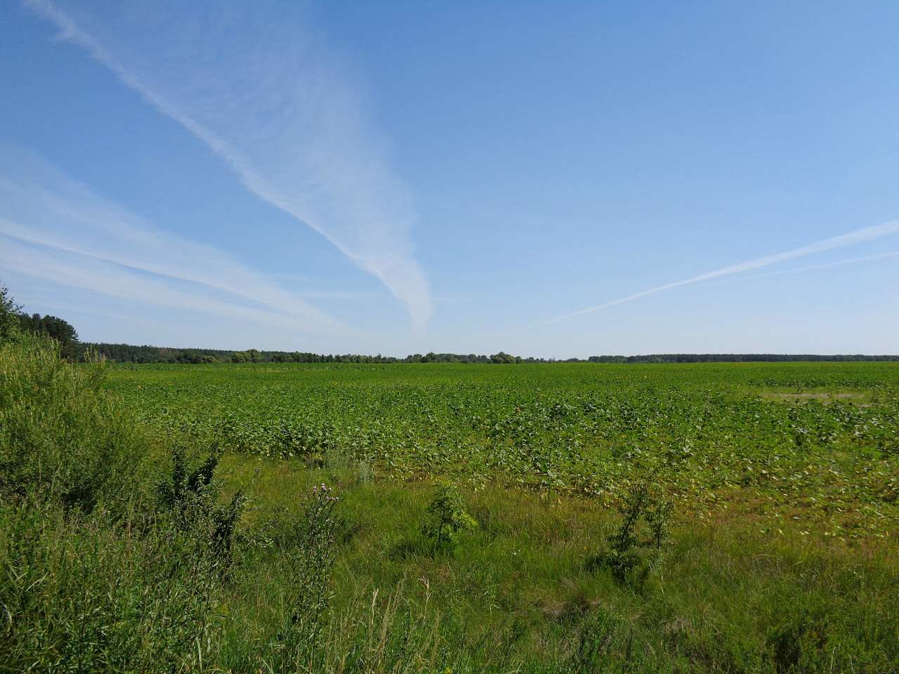 Природа, фото Андрія Сніжка - Ставиське