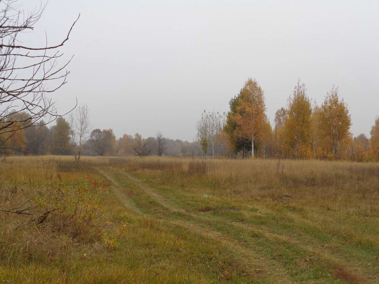 Природа, фото Андрія Сніжка - Мильники