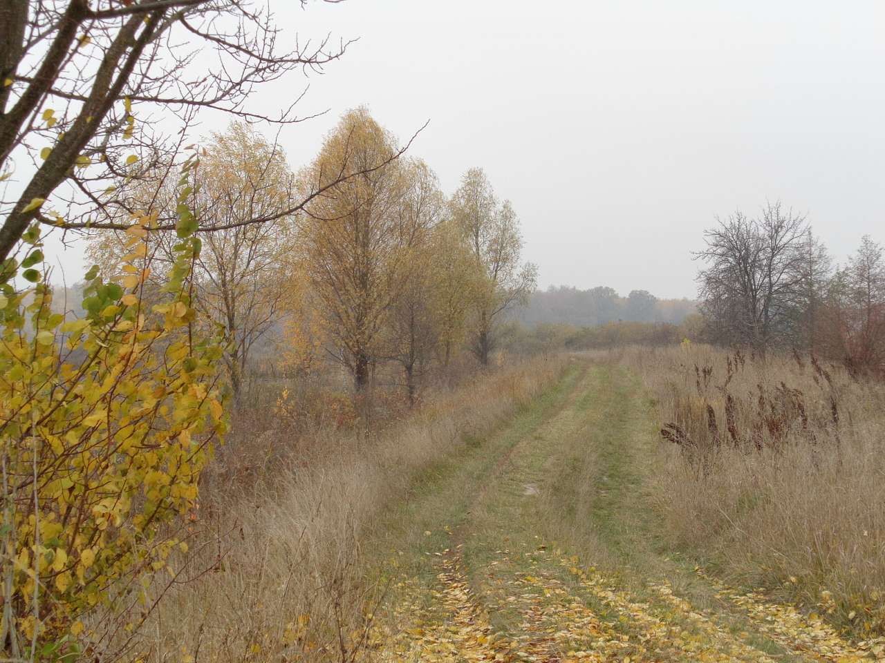 Природа, фото Андрія Сніжка - Мильники