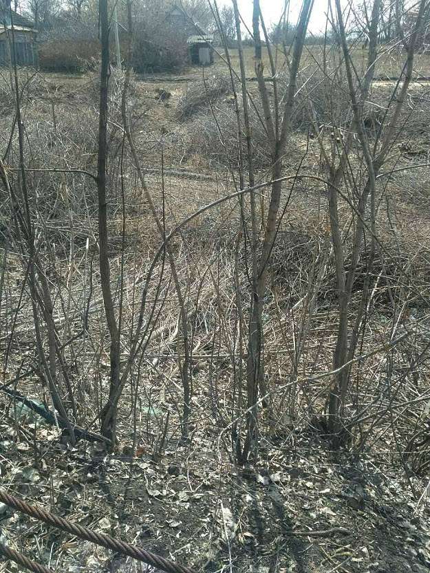 ДІБРОВА - Velyka Dibrova