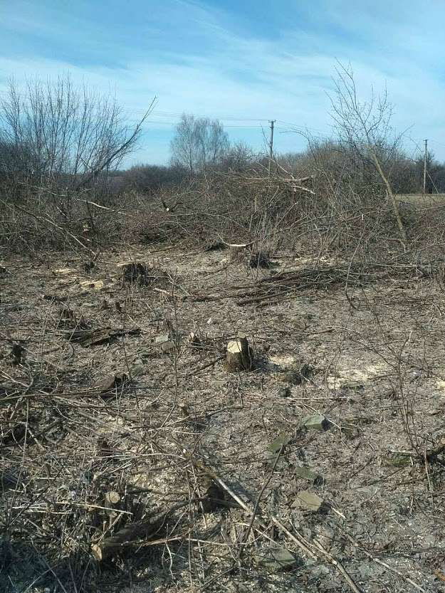 ДІБРОВА - Велика Діброва