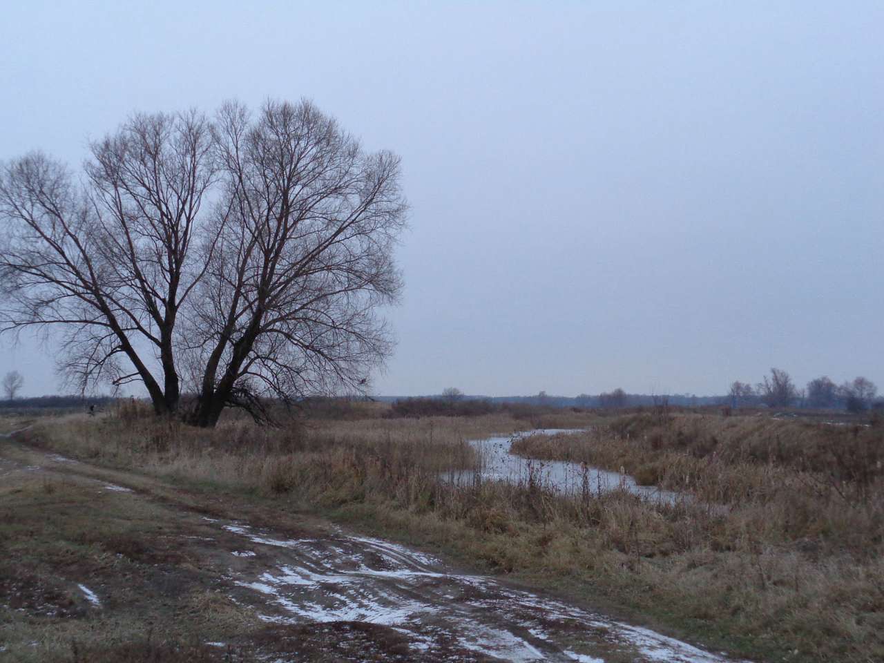 Дорога на Носівку, фото Андрія Сніжка - Sulak