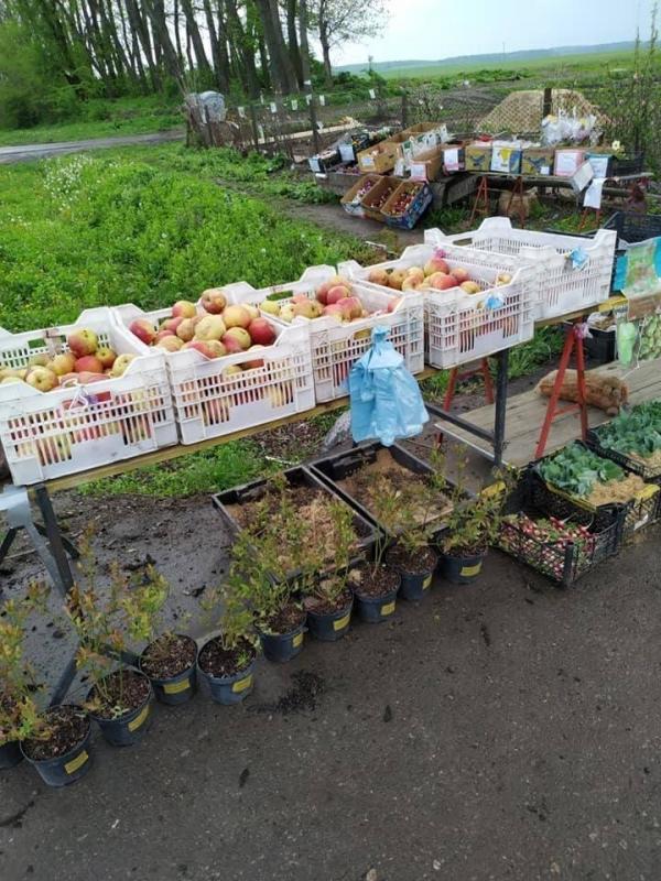 На Львівщині з’явився “ринок” із самообслугов - Банюнин