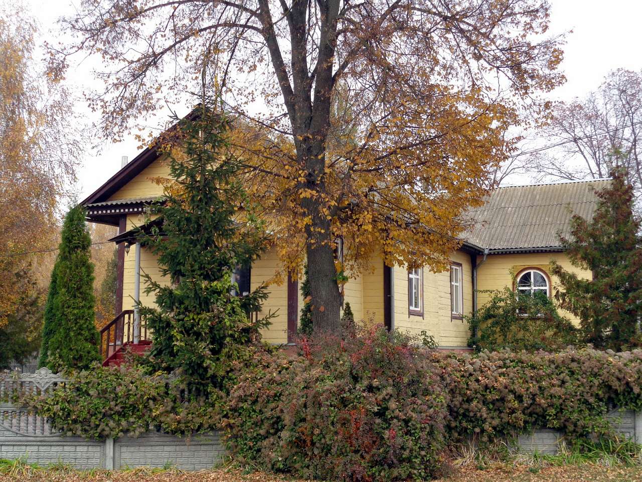 Очима туриста, фото Андрія Сніжка - Ніжинське