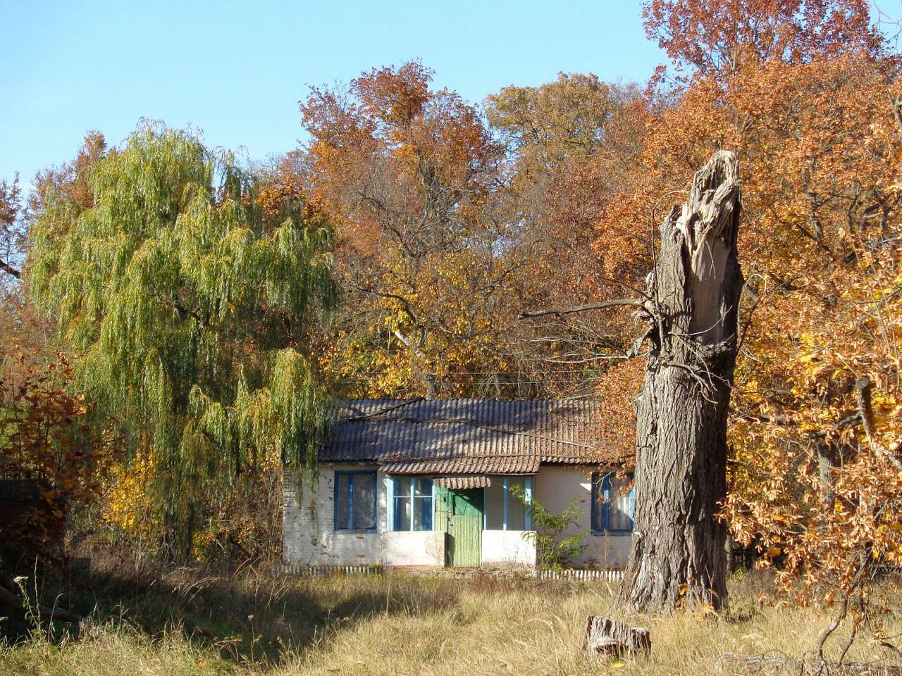 Хутір Тимки, фото Андрія Сніжка - Stara Basan