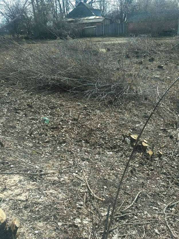 ДІБРОВА - Velyka Dibrova