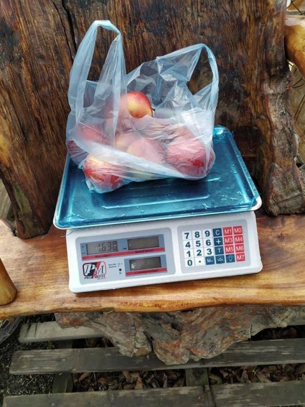 На Львівщині з’явився “ринок” із самообслугов - Banyunyn