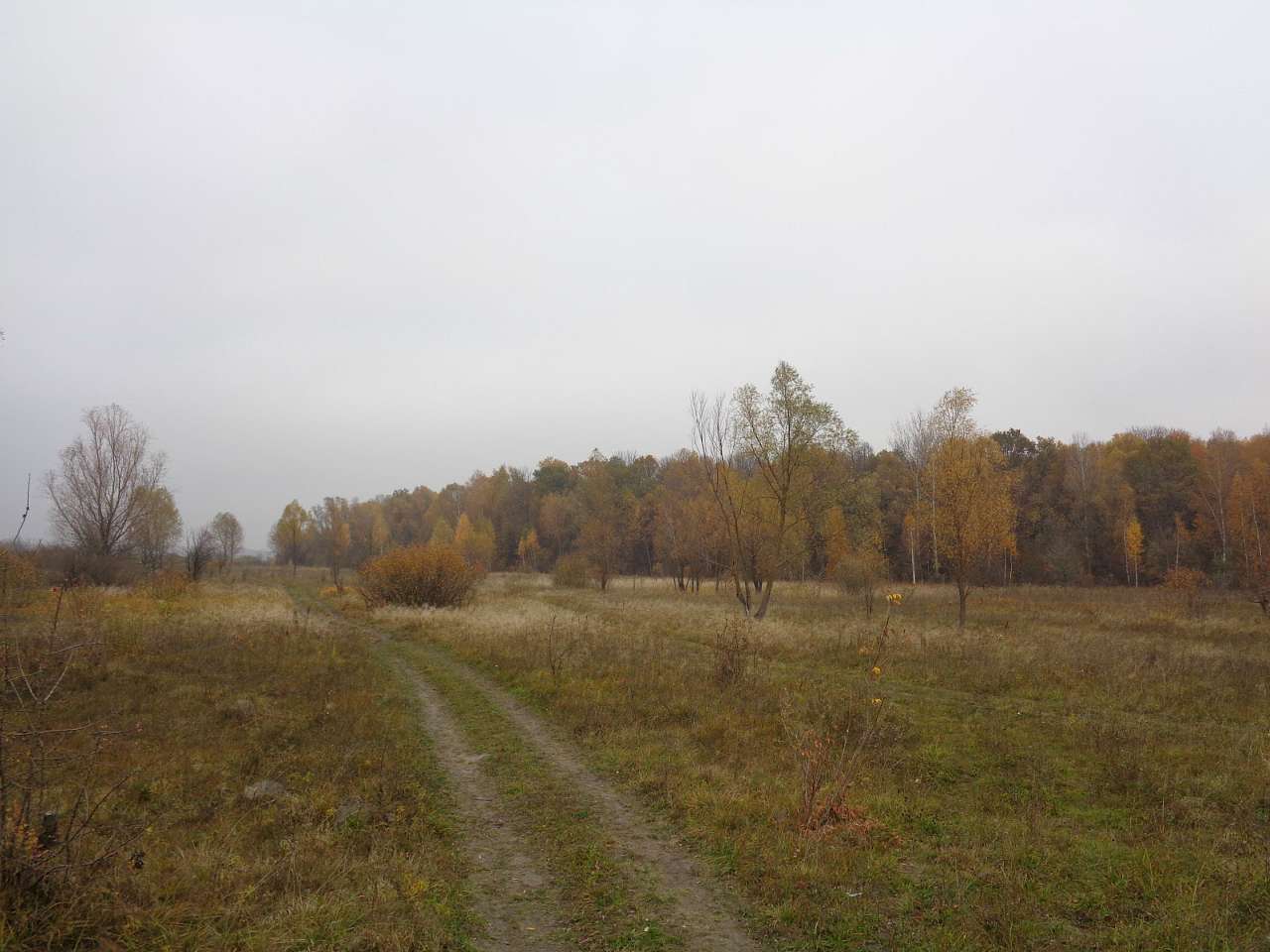 Дорога на Мильники, фото Андрія Сніжка - Sulak