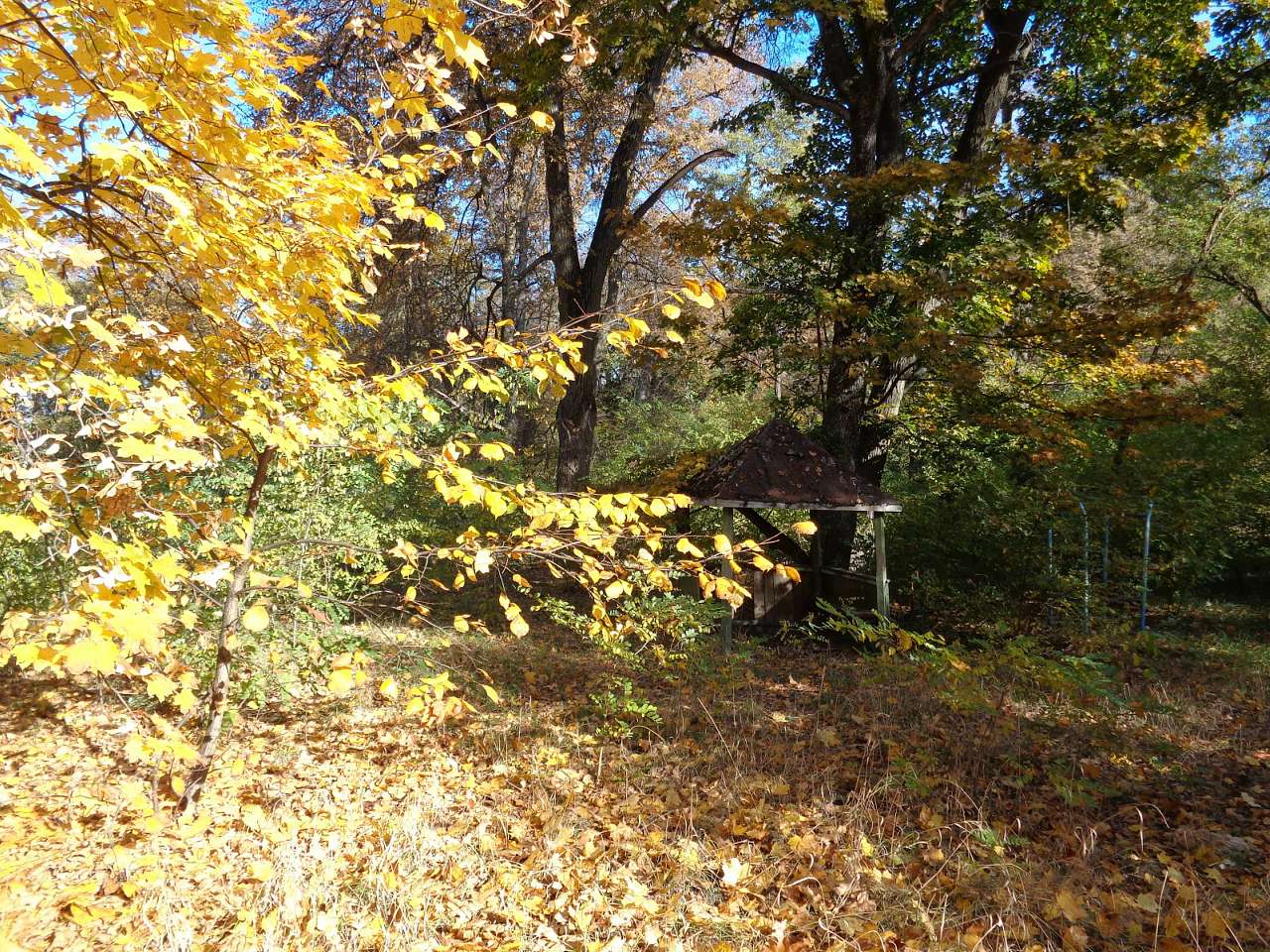 Хутір Тимки, фото Андрія Сніжка - Stara Basan