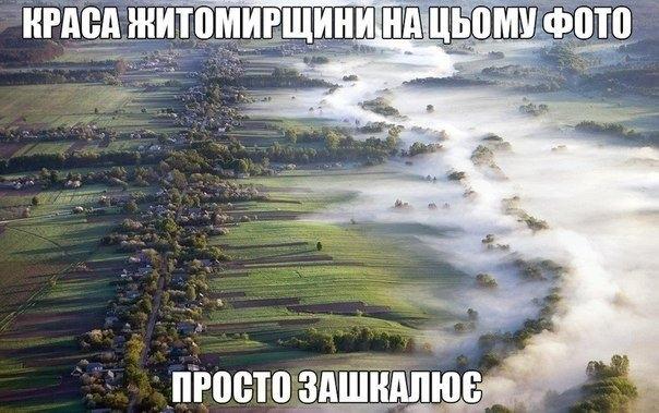 \\\\\\ - Житомир