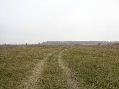 Природа, фото Андрія Сніжка - Мильники