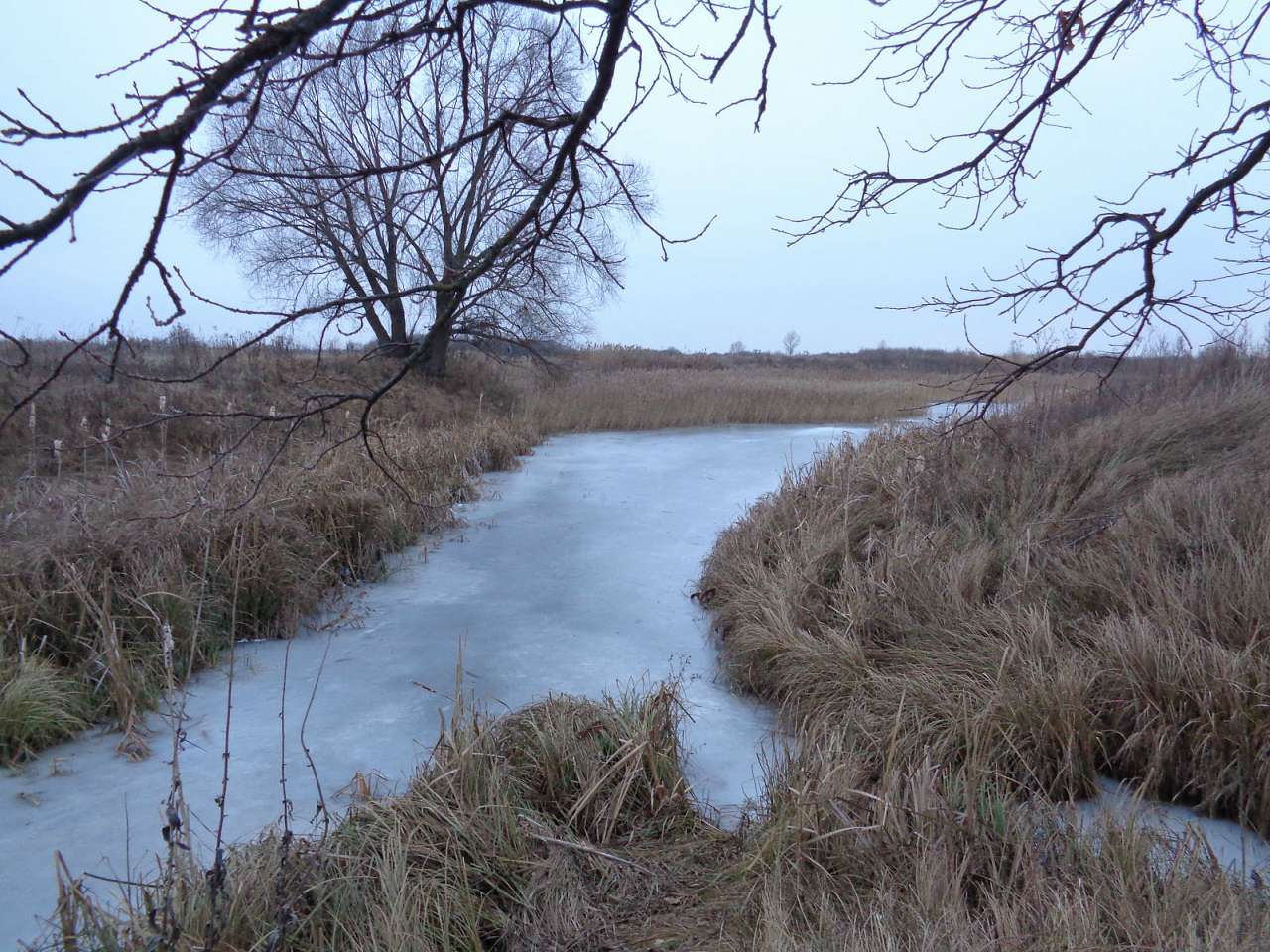 Дорога на Носівку, фото Андрія Сніжка - Сулак