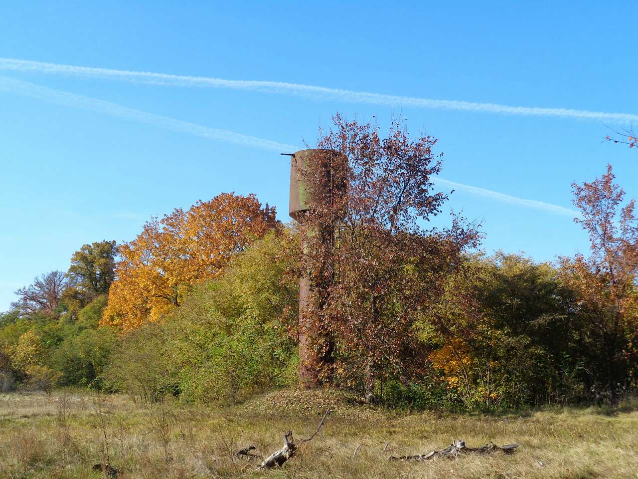 Хутір Тимки, фото Андрія Сніжка - Старая Басань