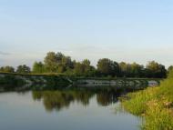 Митченки - Останні фото