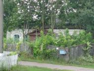 Криски - Останні фото