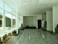 ДНІПРОРУДНЕНСЬКІ КАМ'ЯНІ БАБИ