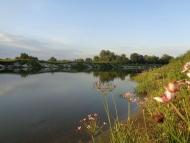 Природа, фото Андрія Сніжка