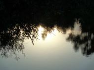 Митченки - Останні фото