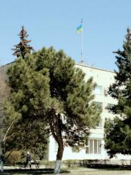 ДНІПРОРУДНЕНСЬКІ КАМ'ЯНІ БАБИ