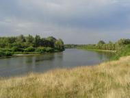 Природа, фото Андрія Сніжка