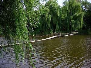 Життя   села - Лозуватка