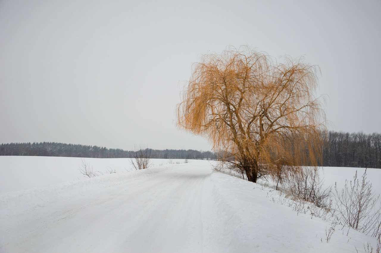 Боромля. Фотограф: Олег Білоус - Boromlya