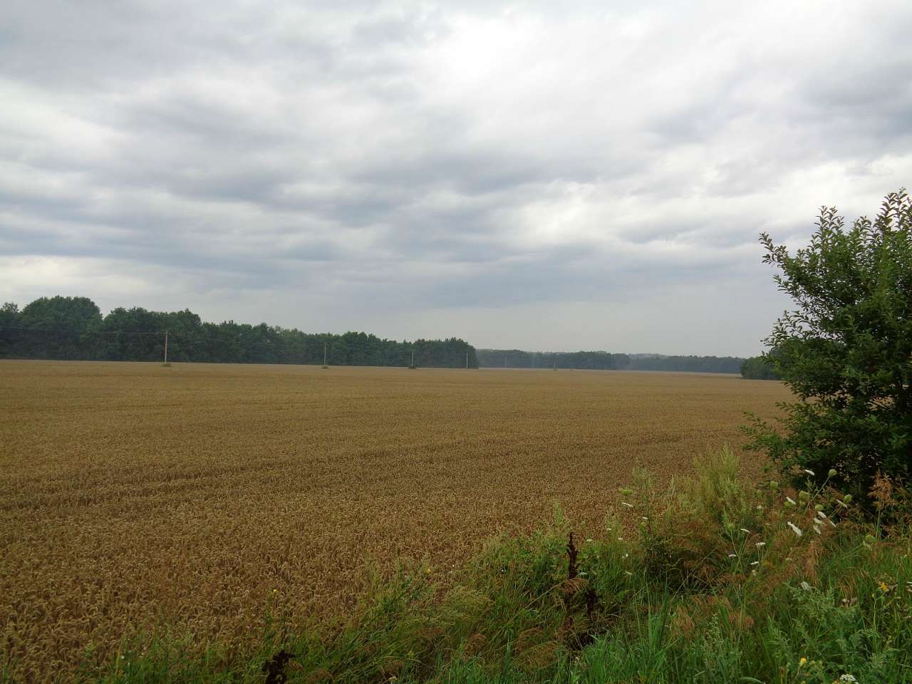 Очима туриста, фото Андрія Сніжка - Радичів