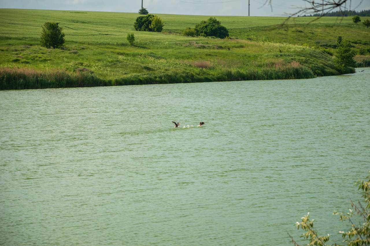 Боромля. Фотограф: Олег Білоус - Боромля
