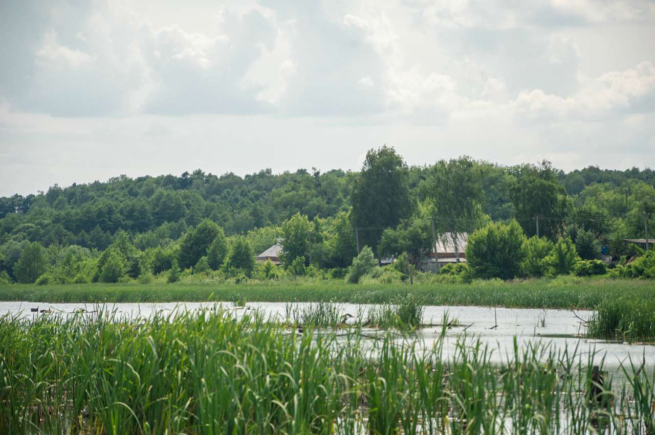 Боромля. Фотограф: Олег Білоус - Боромля