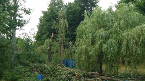 На Харківщині через негоду загинула людина, щ - Старий Салтів