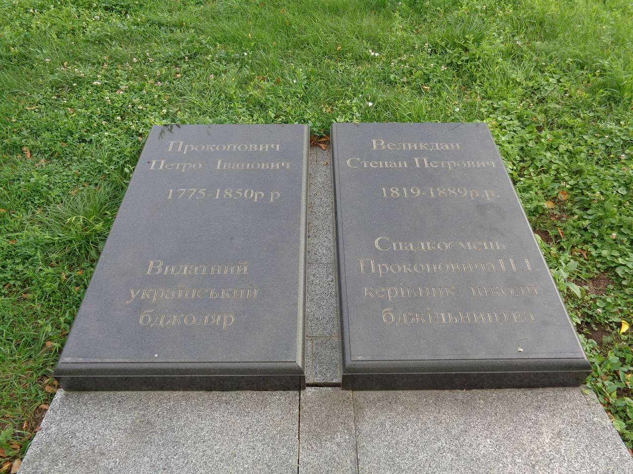 Очима туриста, фото Андрія Сніжка - Пальчики