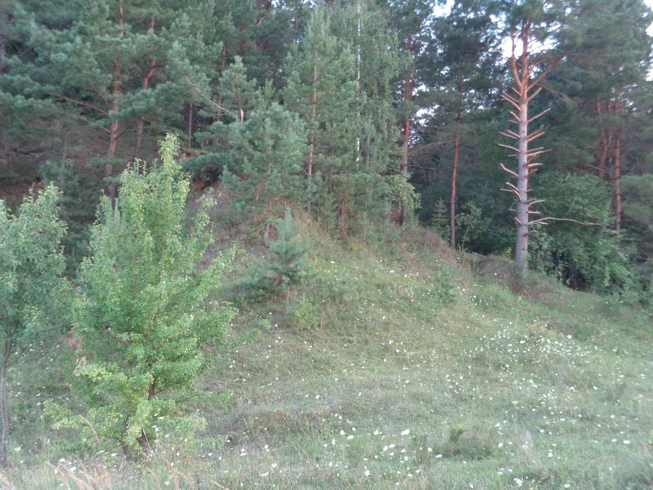 Очима туриста, фото Андрія Сніжка - Радичів