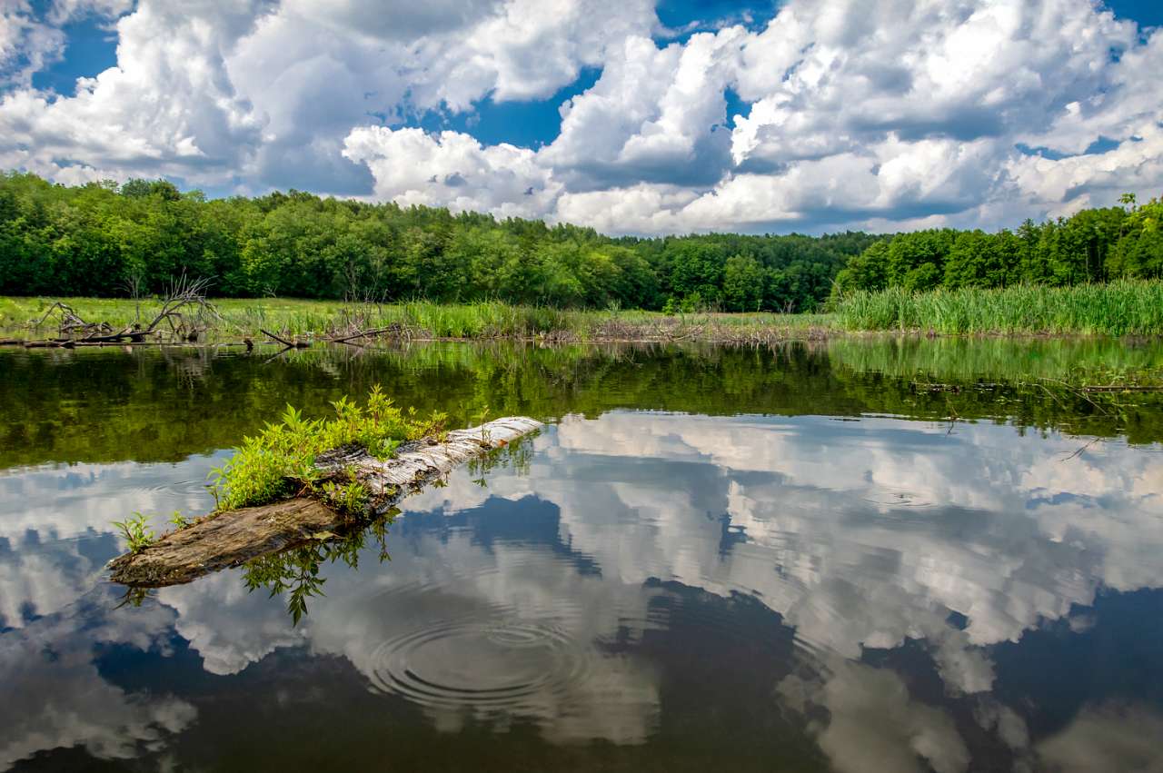 Боромля. Фотограф: Олег Білоус - Боромля