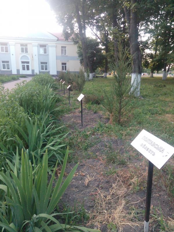 Будівлі та пам'ятки - Носівка