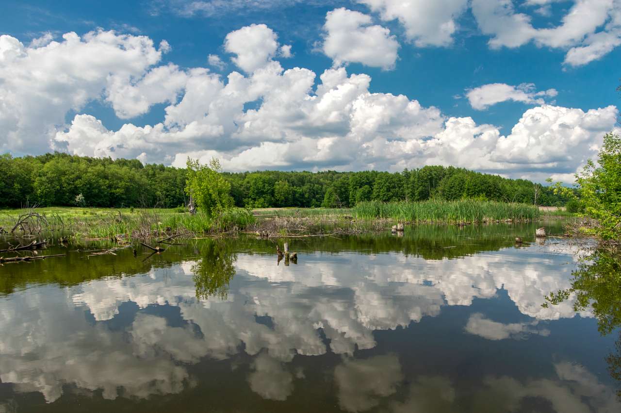 Боромля. Фотограф: Олег Білоус - Боромля