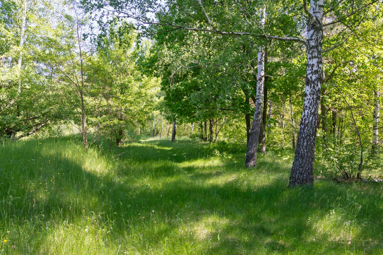 Боромля. Фотограф: Олег Білоус - Boromlya