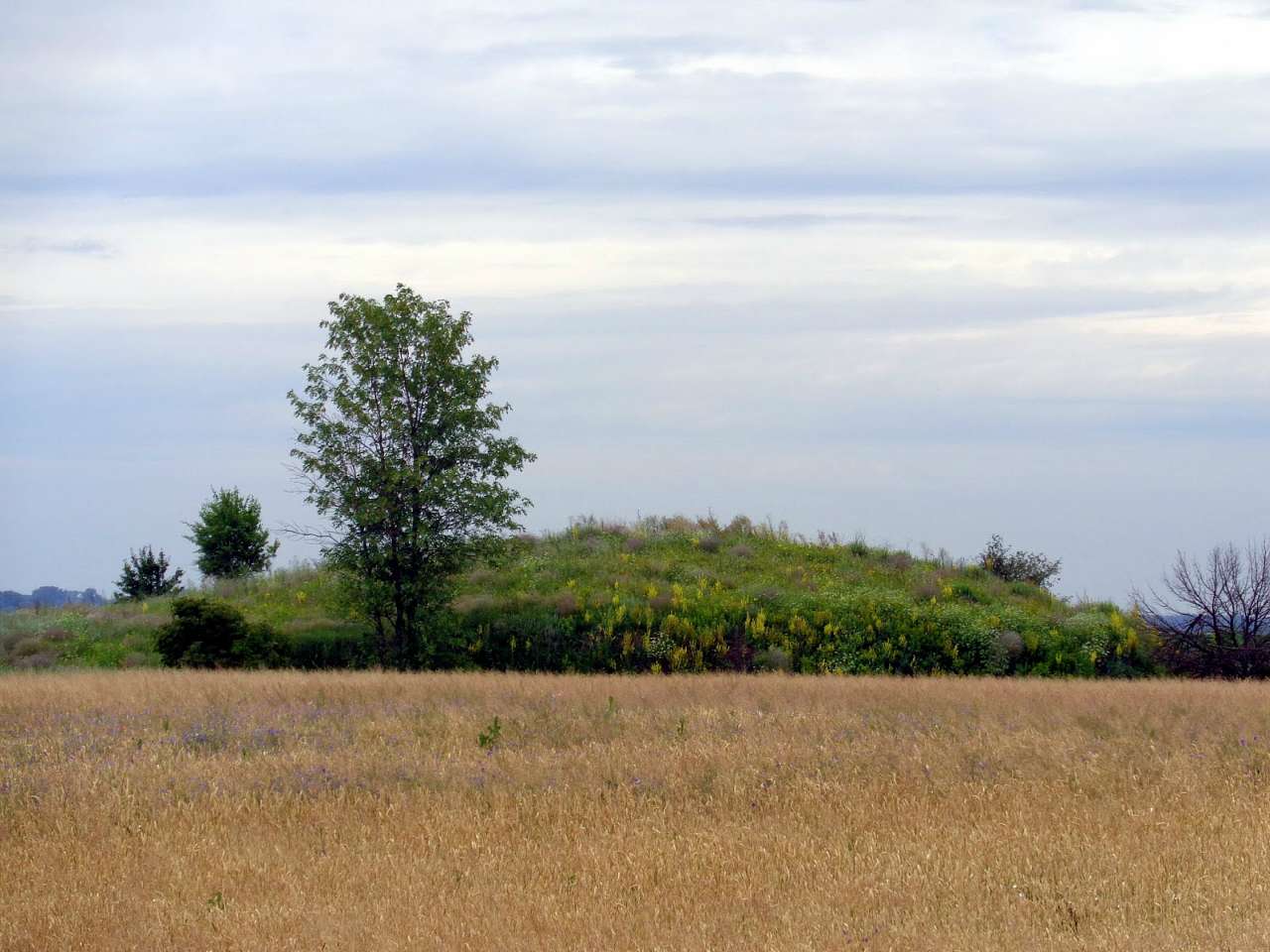 Очима туриста, фото Андрія Сніжка - Шняківка