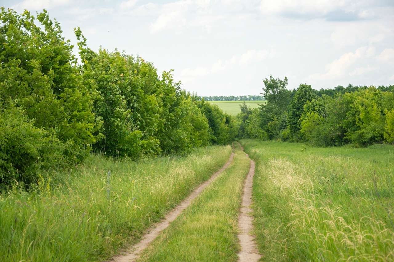 Боромля. Фотограф: Олег Білоус - Боромля