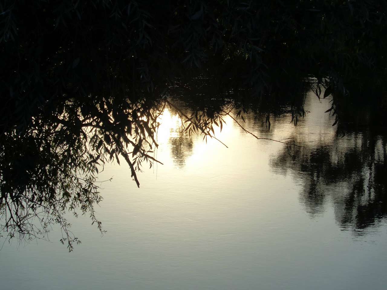 Природа, фото Андрія Сніжка - Митченки