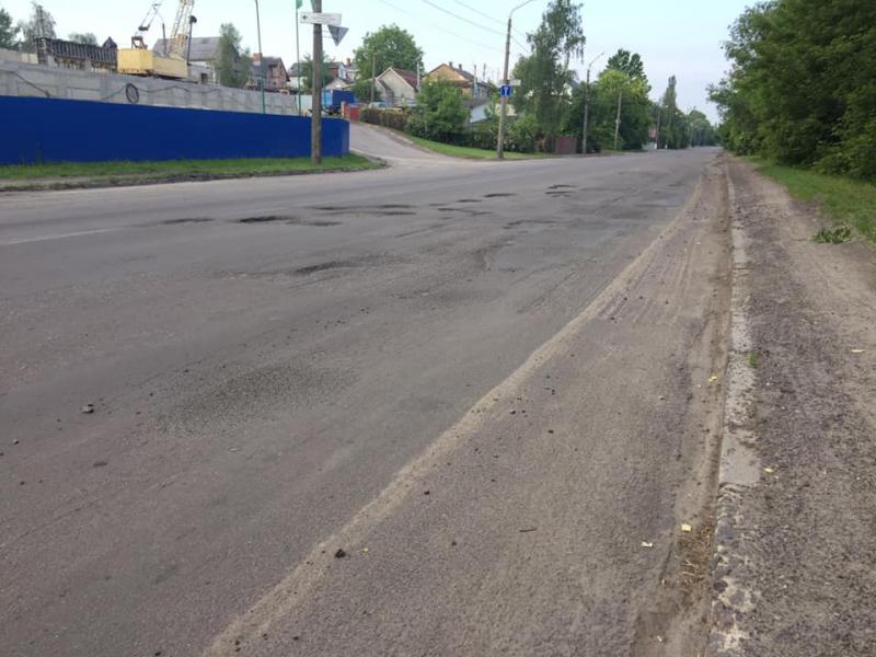 У Луцьку в ямах на дорозі посадили квіти - Луцьк