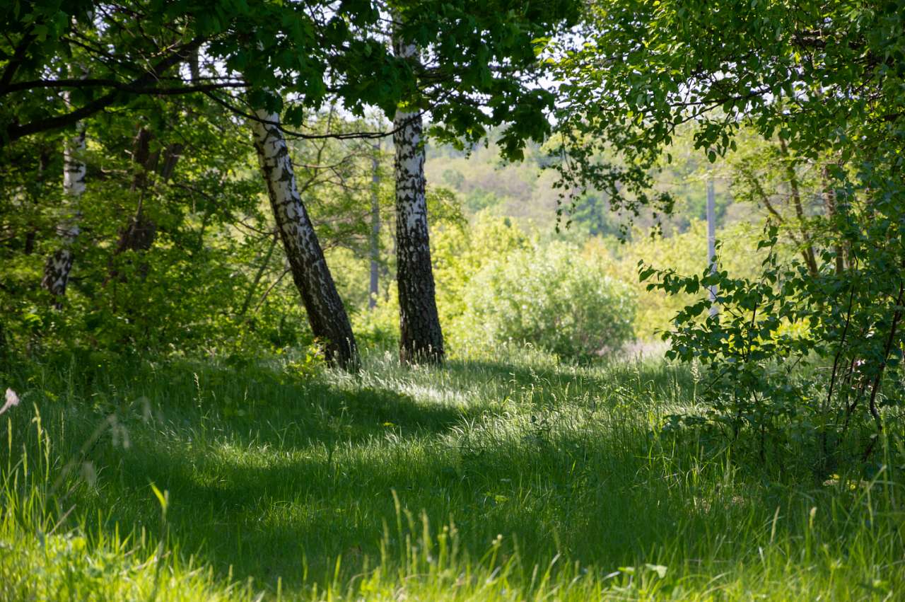 Боромля. Фотограф: Олег Білоус - Boromlya